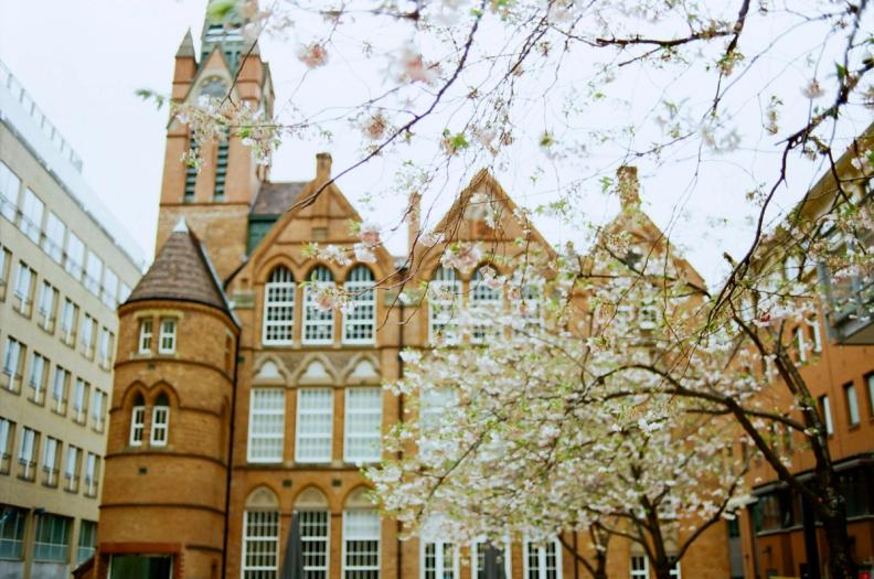 a large brick building with a clock tower and a tree with white flowers in front of it .