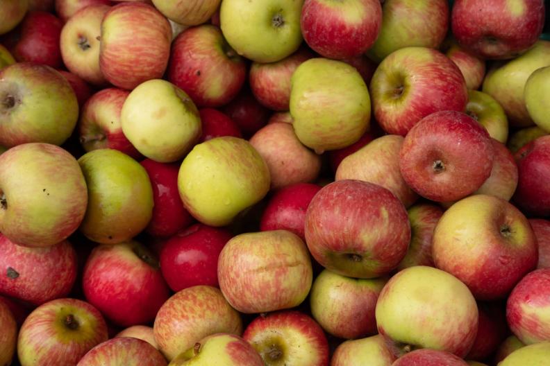 Äpfel verwerten: Rösten, einkochen oder roh geniessen