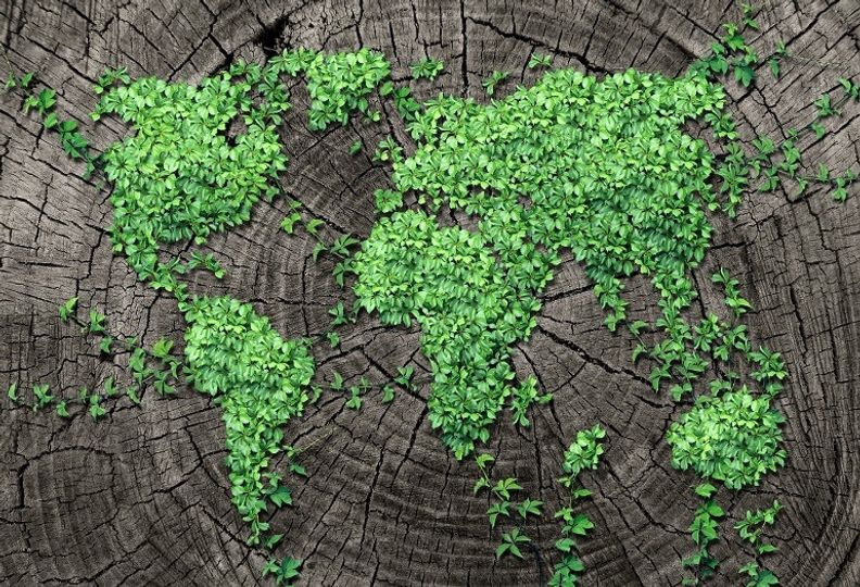 Giornata Mondiale dell’Ambiente, Too Good To Go:  in un anno non emesse 1.500 tonnellate di CO2  grazie alla lotta contro gli sprechi alimentari