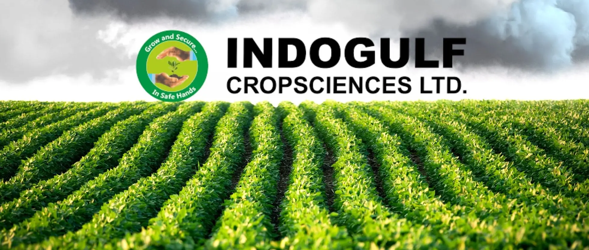 Indogulf Cropsciences IPO Date, Review, Price, Allotment Details icon