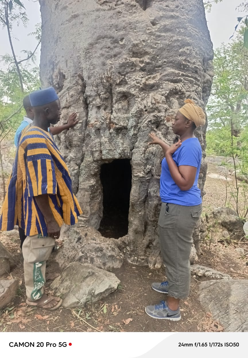 Close-up of the historic Baobab tree in Busa with KAPAW team members