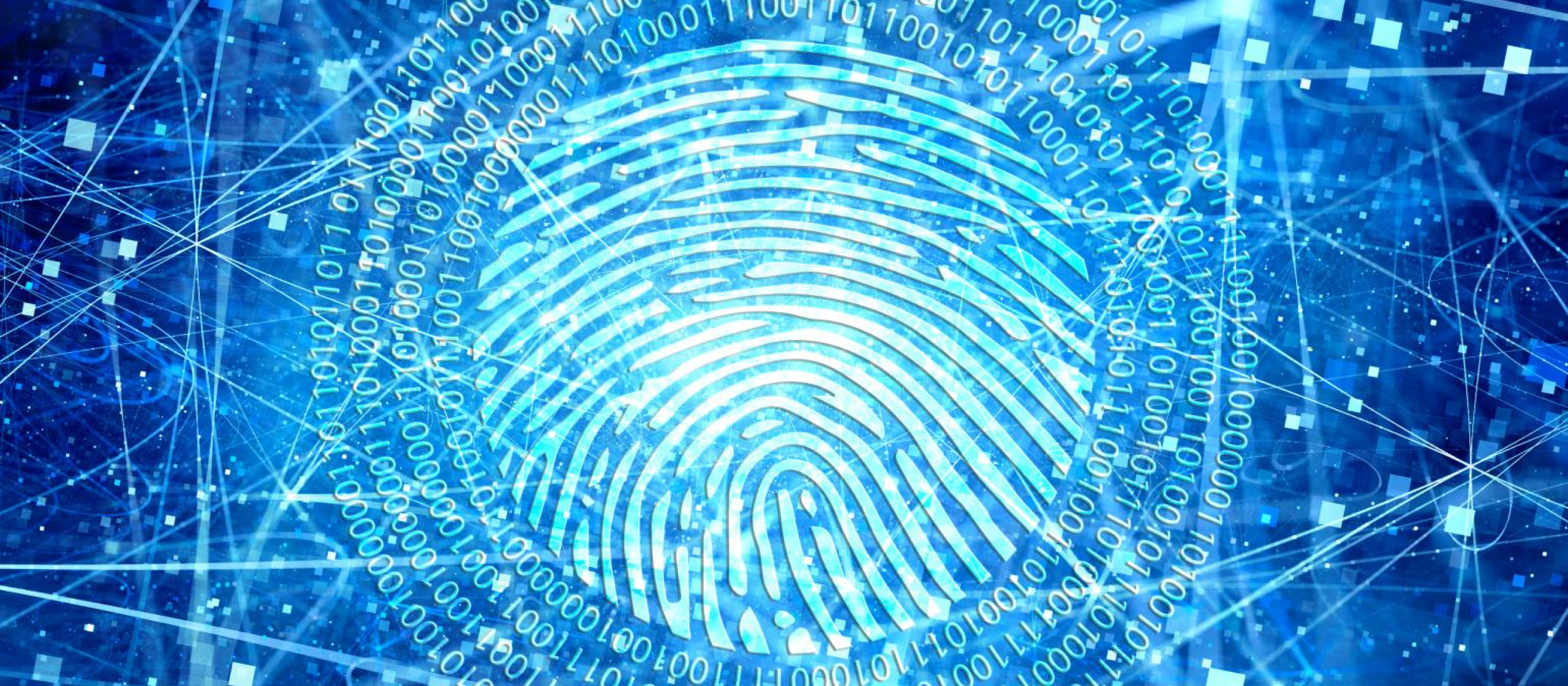 Cyber_Fingerprint