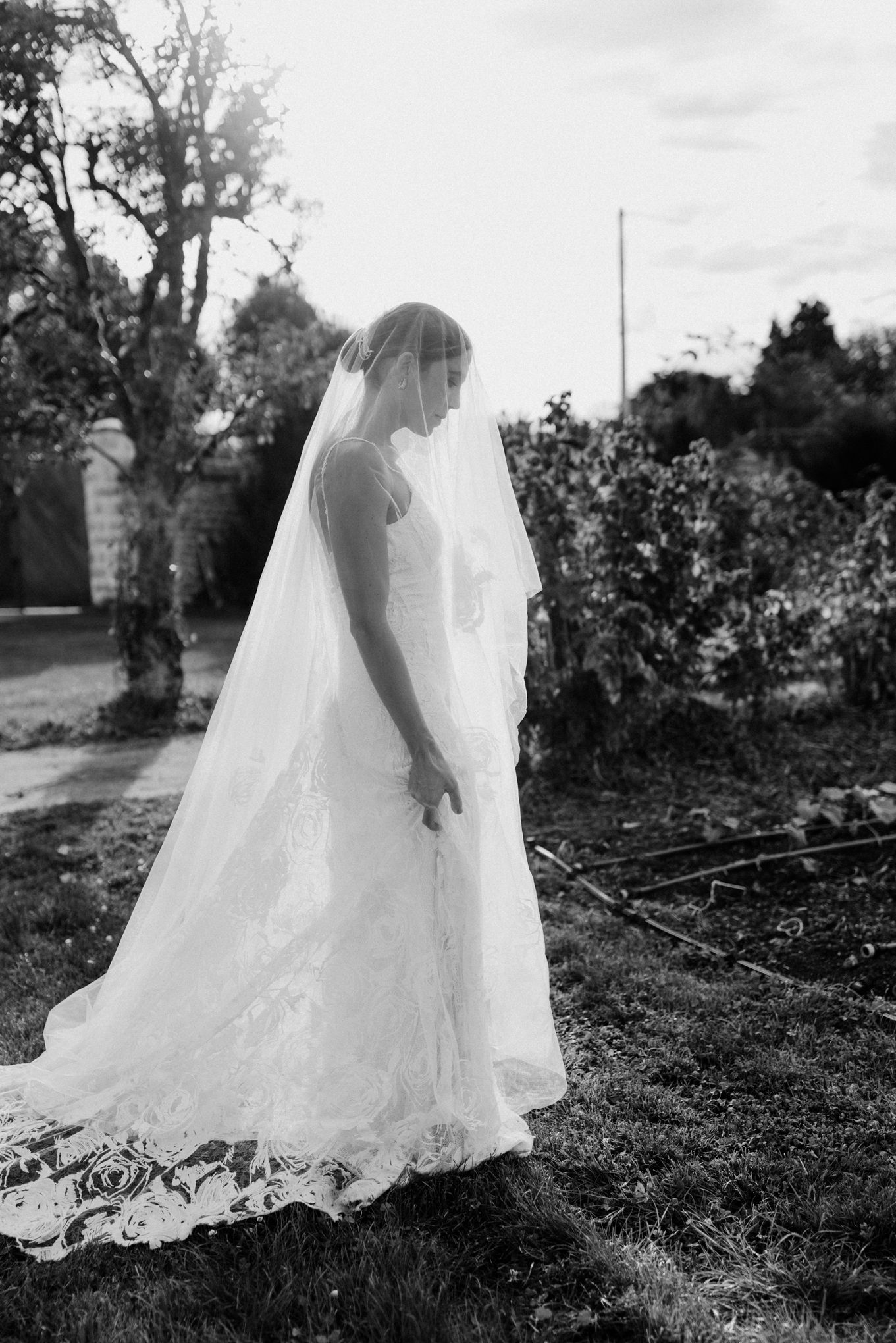 Boda Roxana & Diego