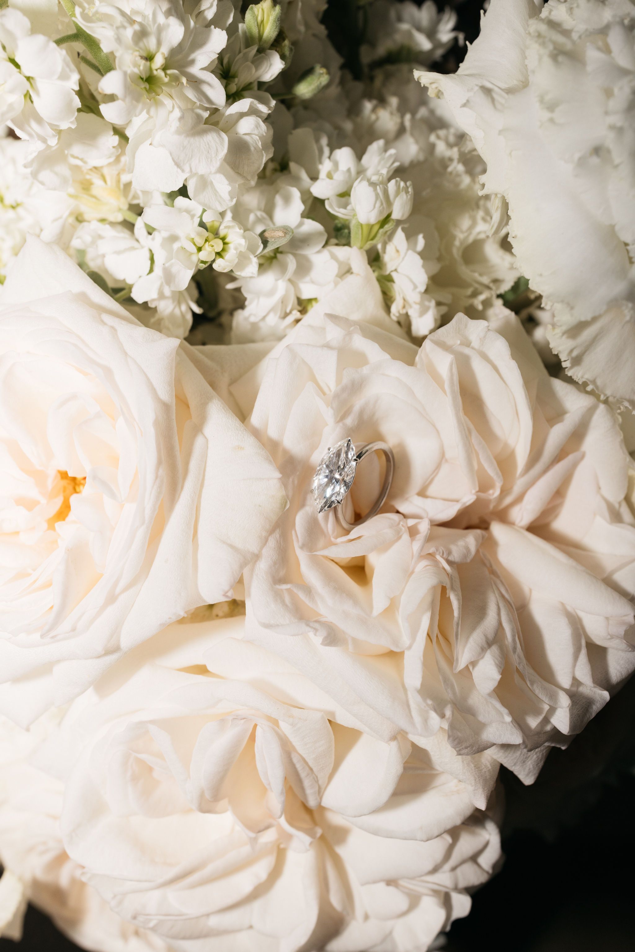 Boda Jackie & Morris
