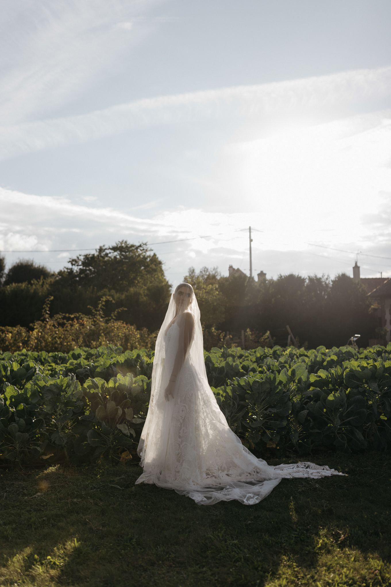 Boda Roxana & Diego