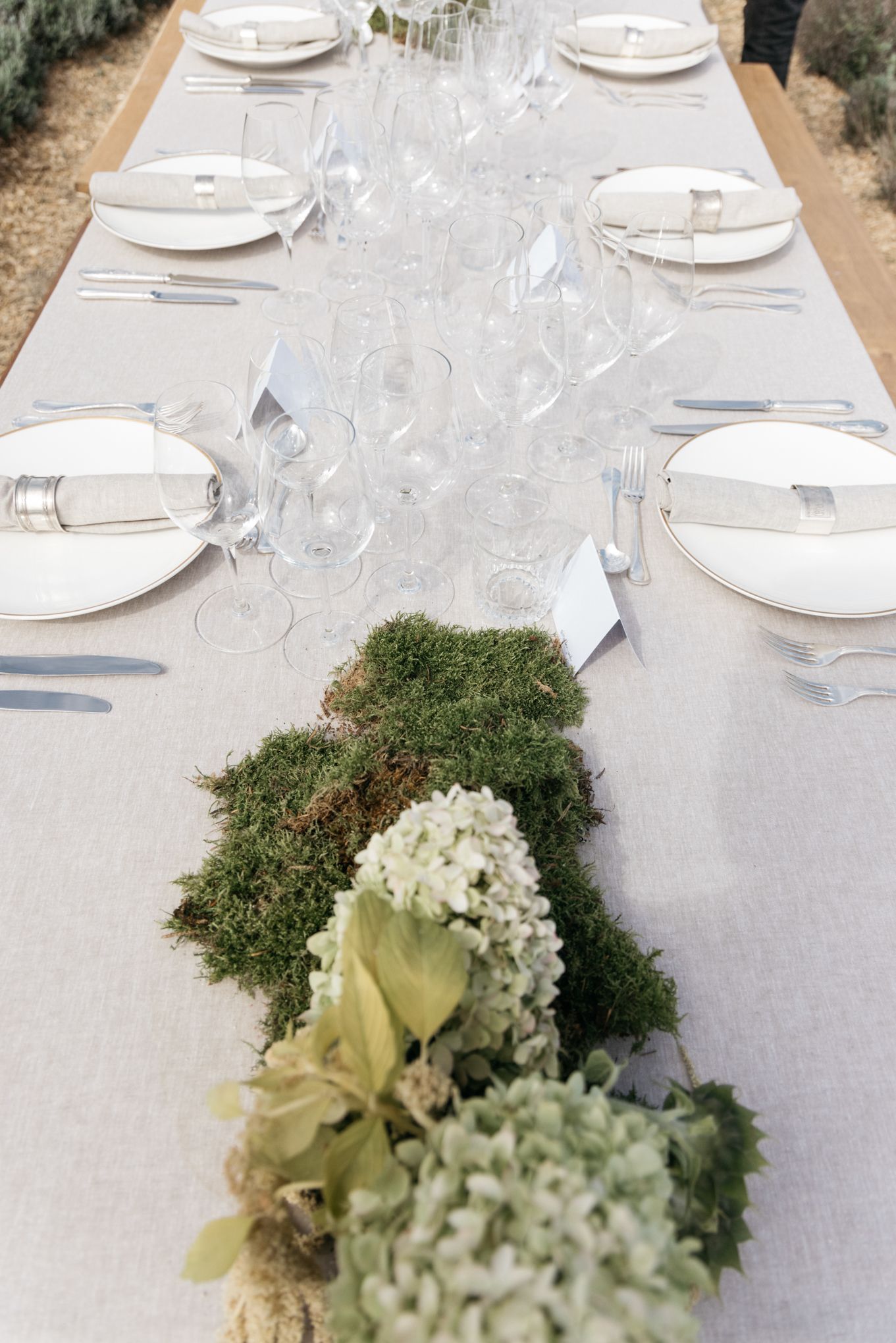Boda Roxana & Diego