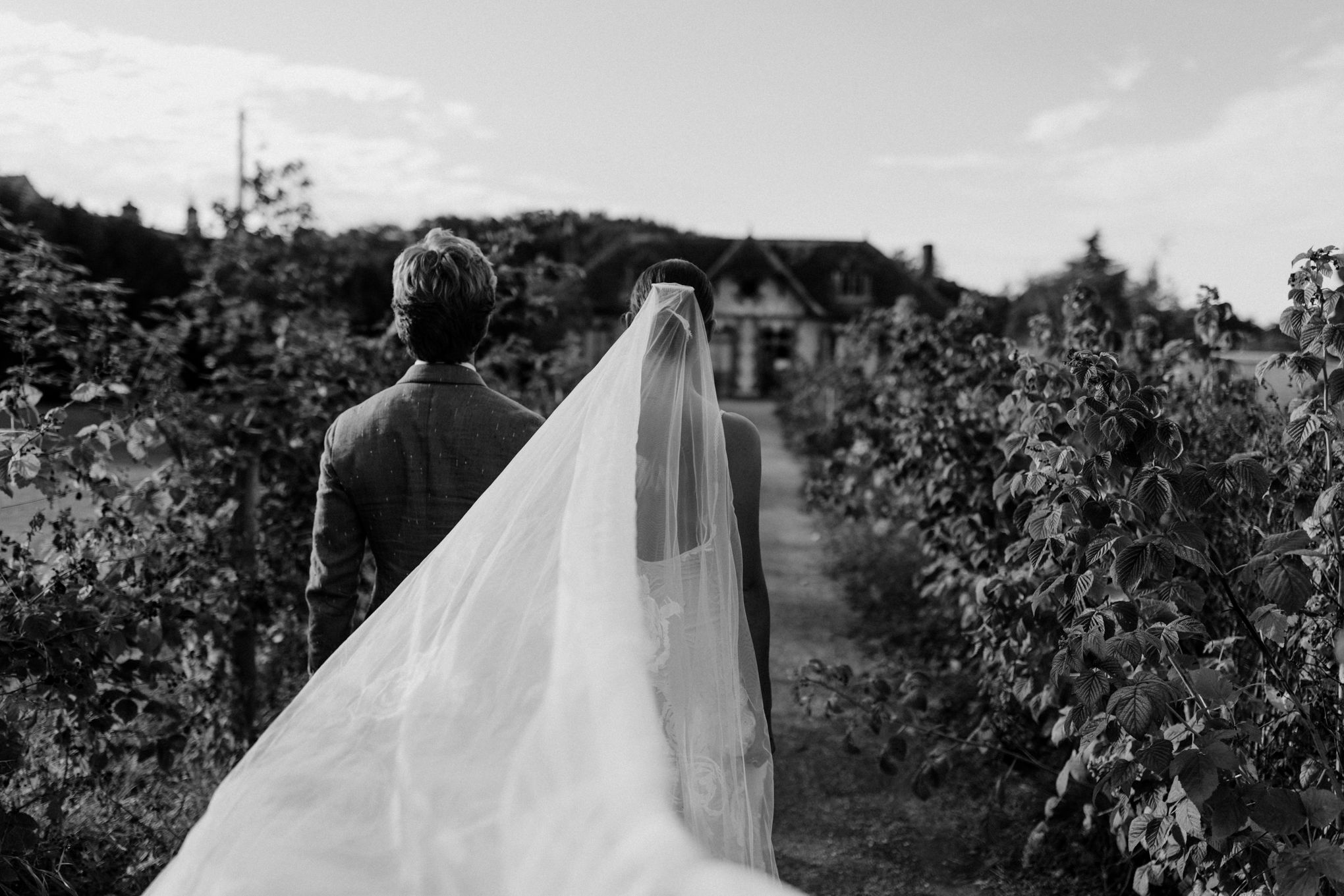 Boda Roxana & Diego