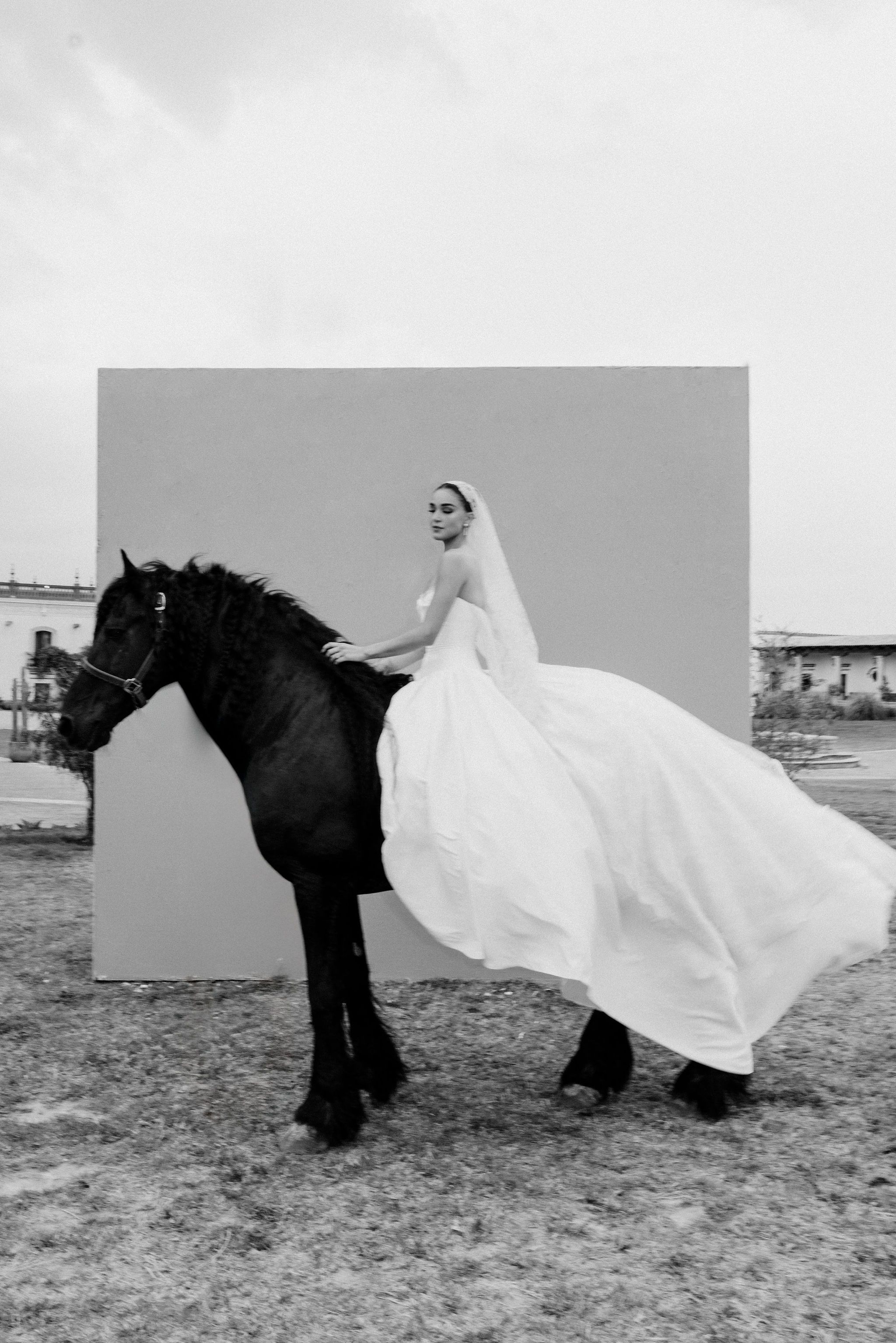 Boda Alejandra Capetillo & Nader Shoueiri