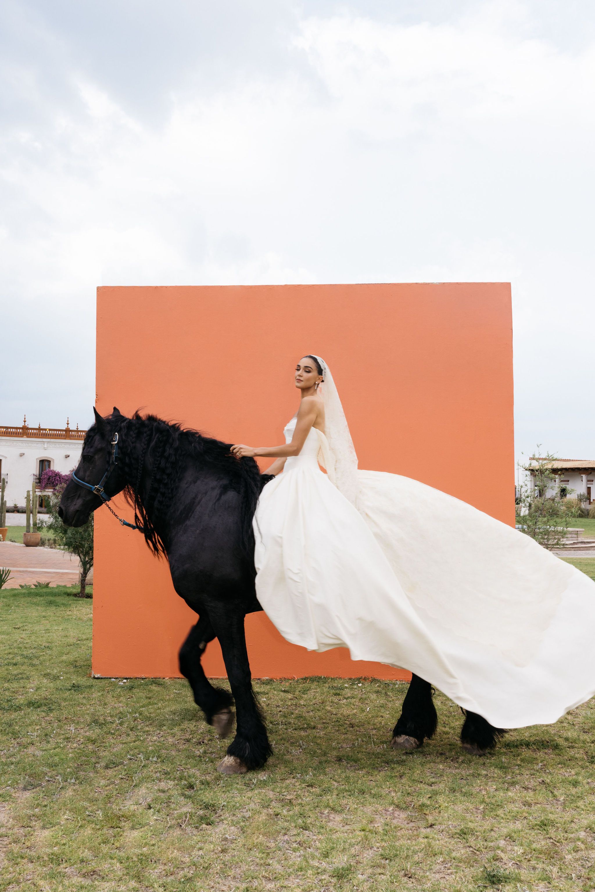 Boda Alejandra Capetillo & Nader Shoueiri