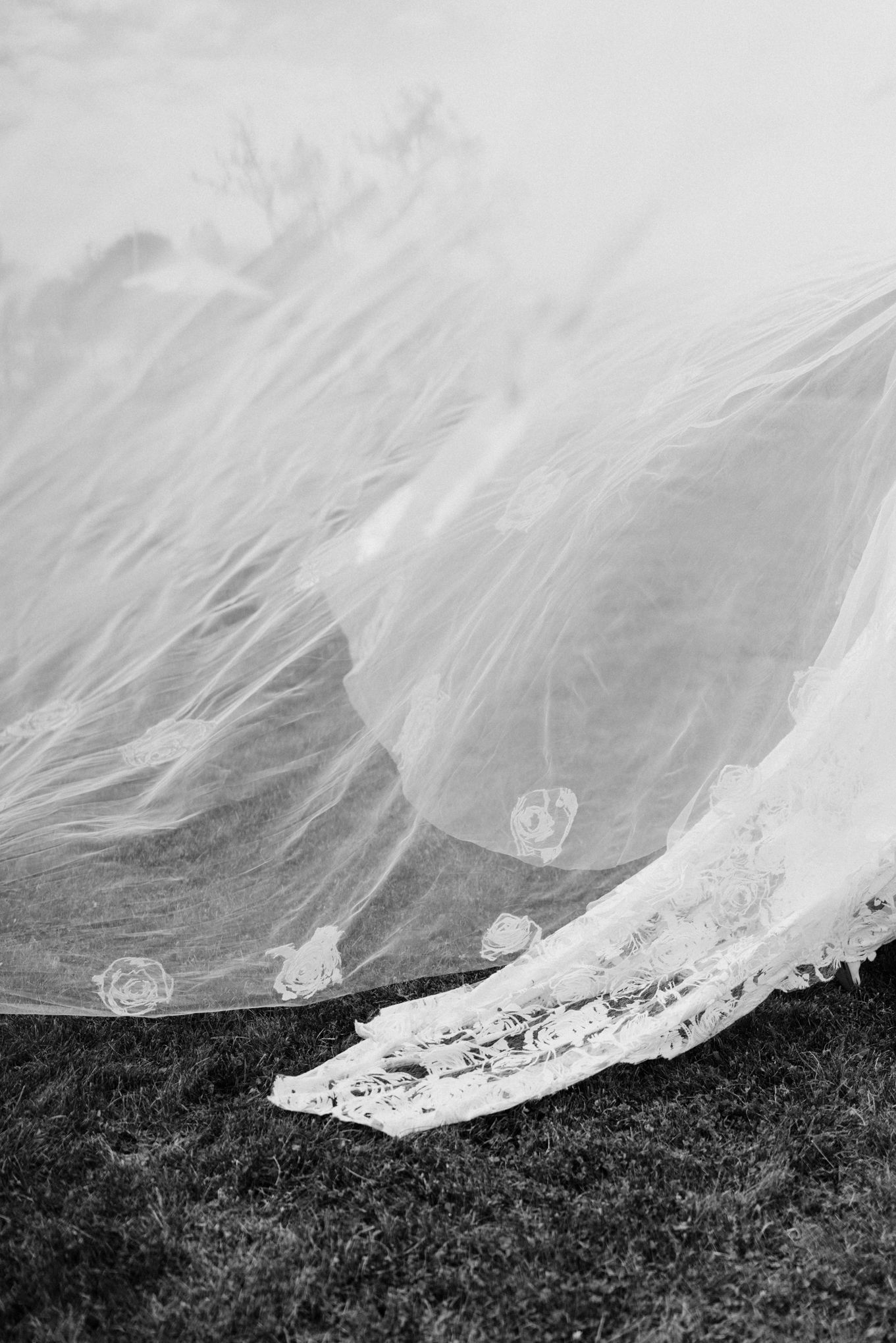 Boda Roxana & Diego