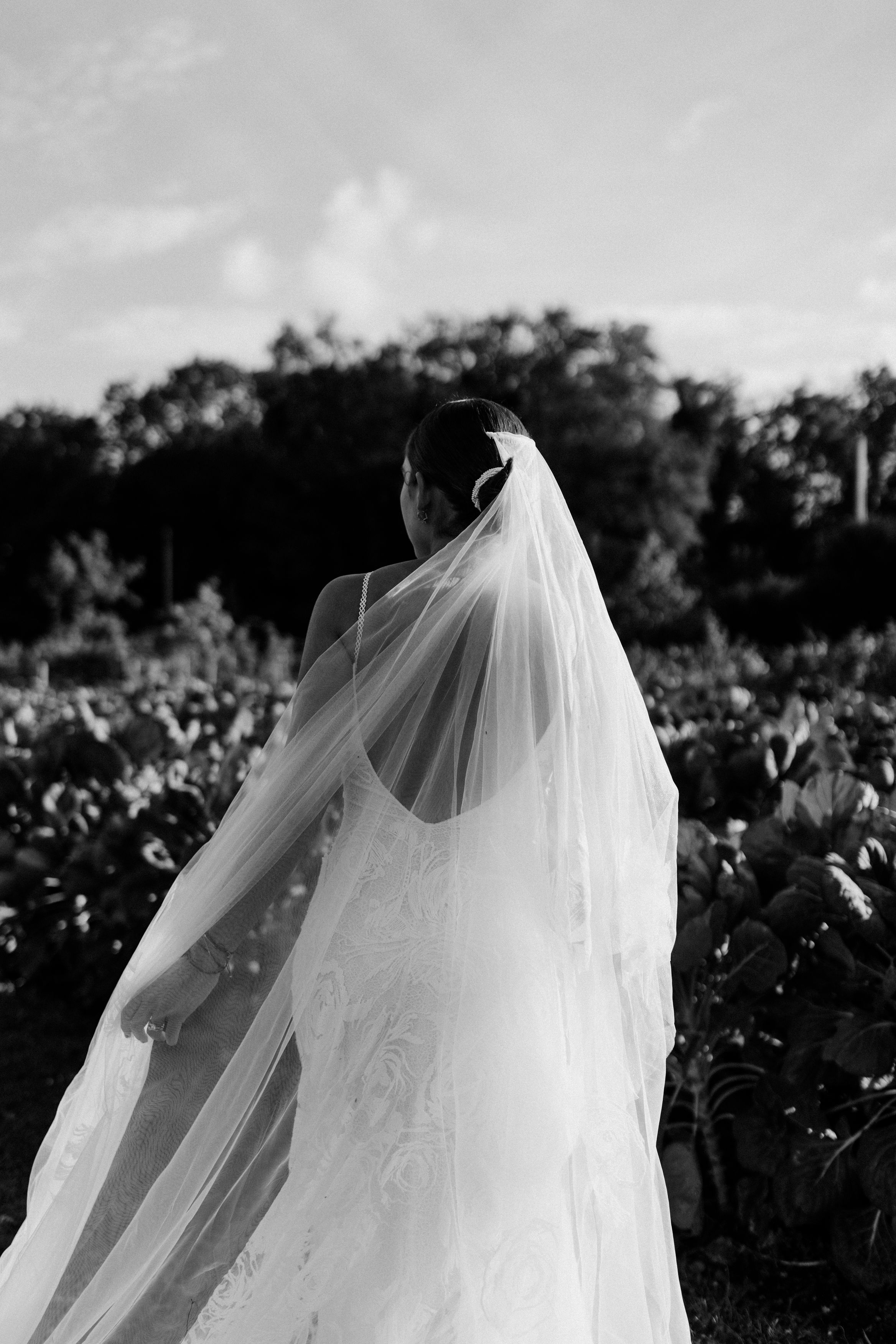 Boda Roxana & Diego