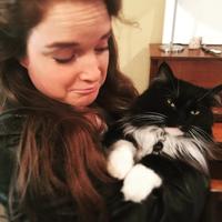 Herding Cats
