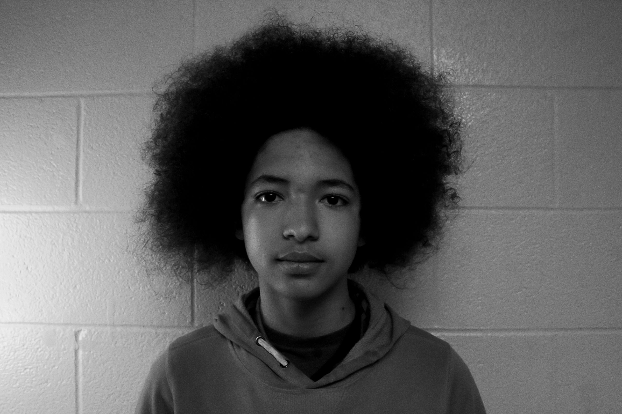 Photo of Amadeus