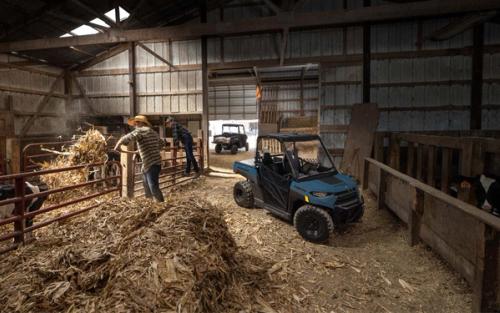 RANGER 150 EFI gallery 1