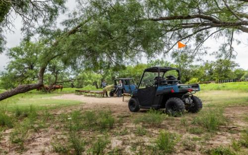 RANGER 150 EFI gallery 6