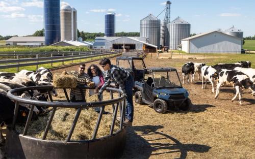 RANGER 150 EFI gallery 3