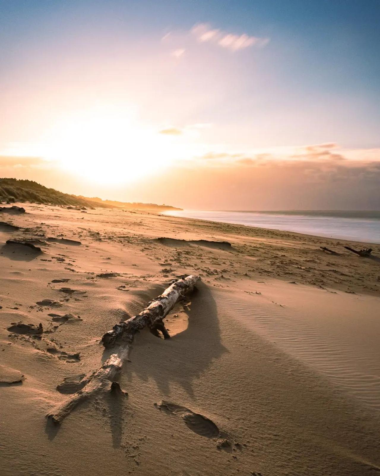 Tronc échoué sur une plage au lever ou au coucher du soleil