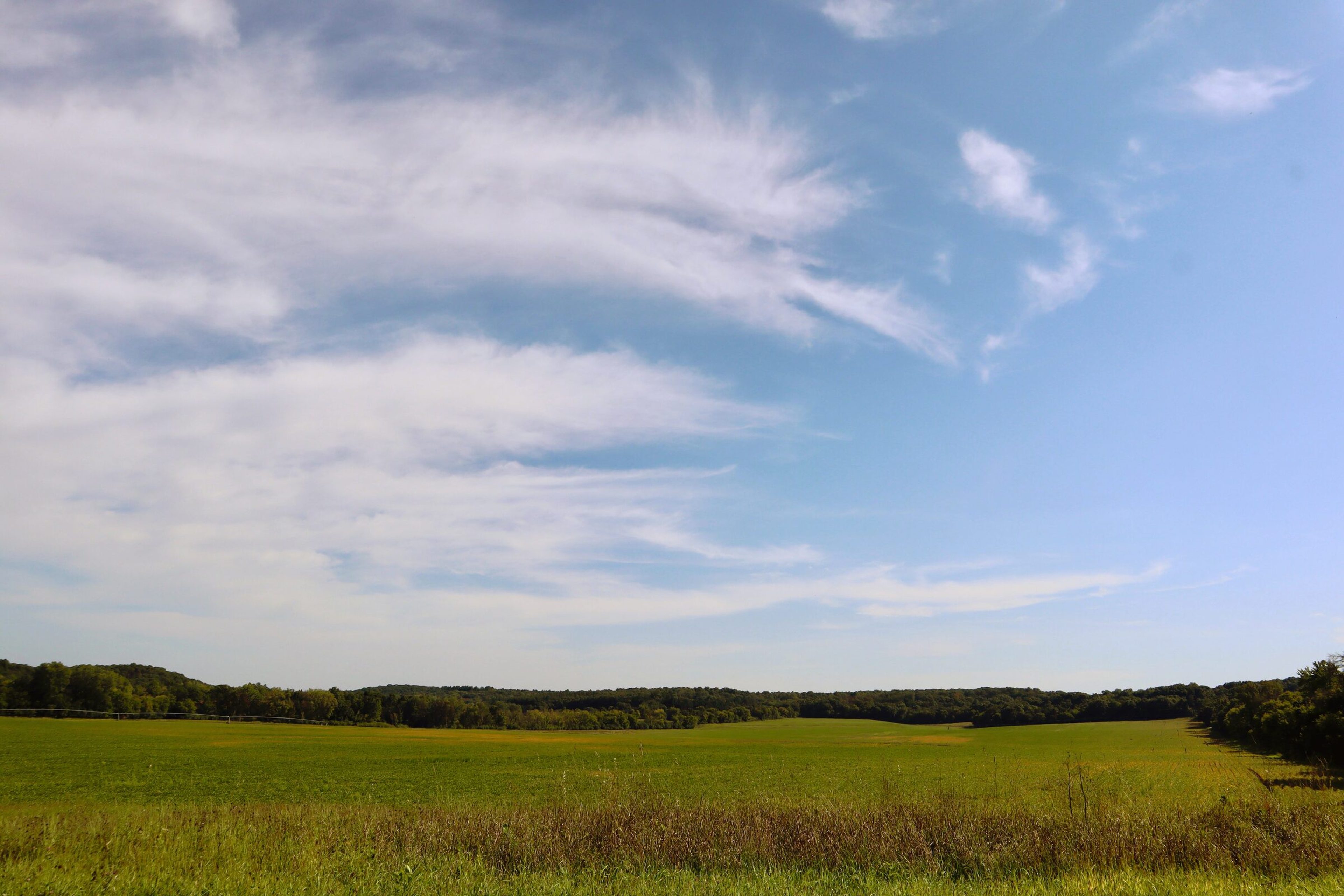 An open central Wisconsin meadow running to a treeline under a wide, cloud-streaked sky.