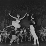 Jezioro Łabędzie — balet