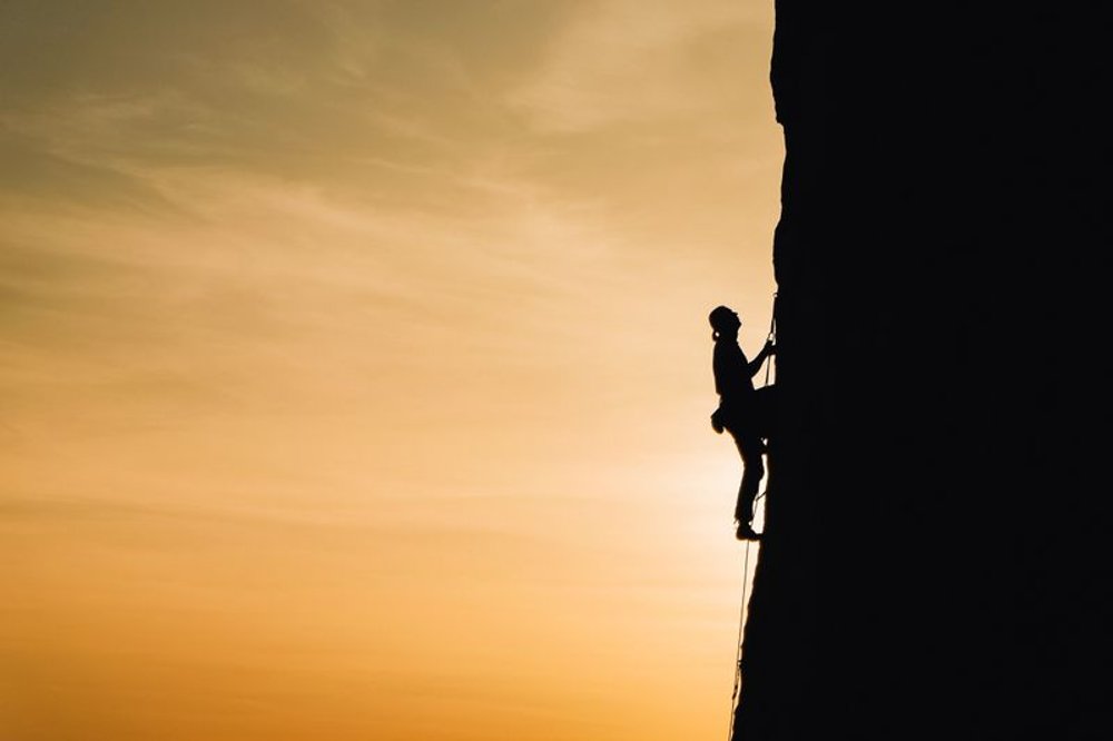 Cover image for How Imago faced a great challenge - and what came out of it