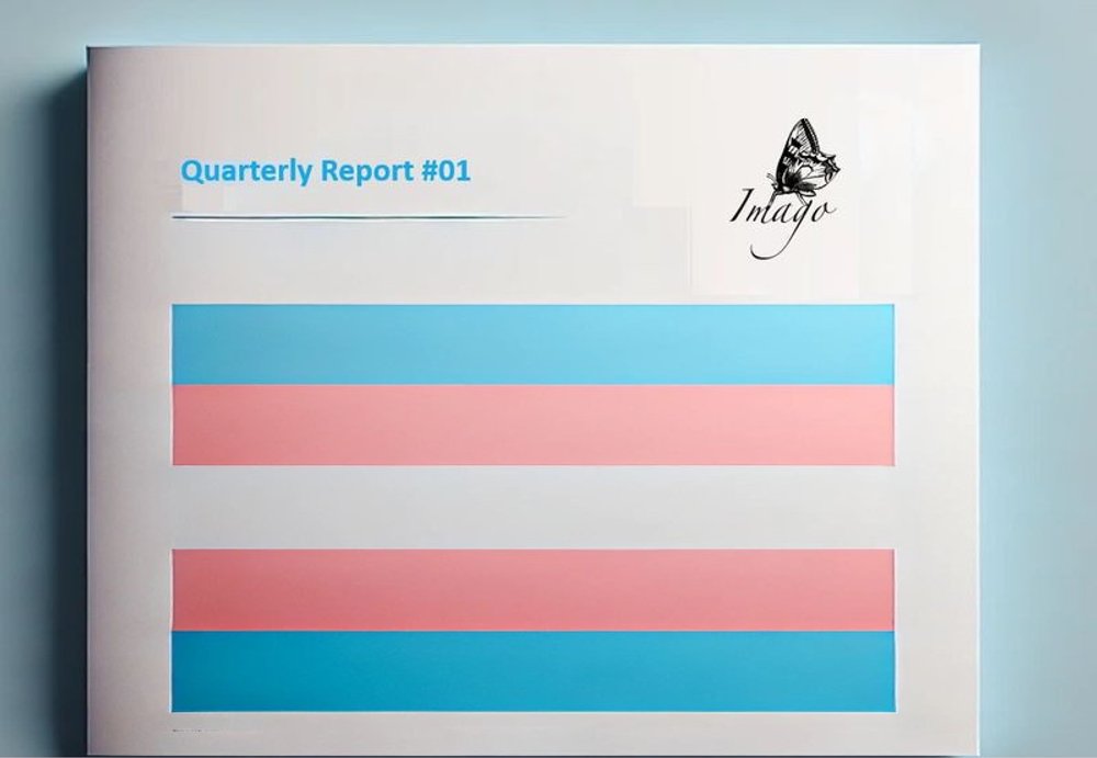 Cover image for Quarterly Bulletin #01
