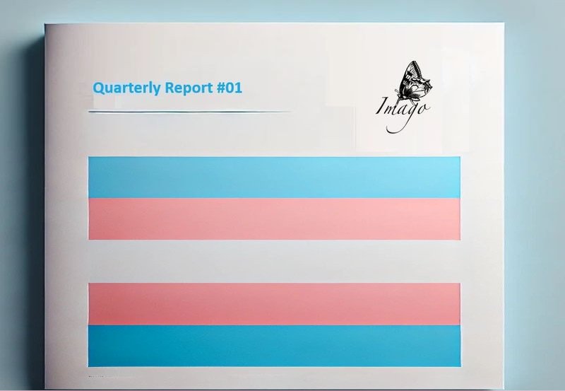 Cover image for Quarterly Bulletin #01