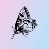 Cover image for Imago app - we proudly announce big news!