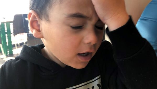 The zones of emotional regulation