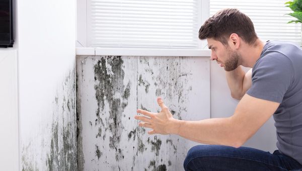 The Damp Dilemma: Water Ingress & Mould in Victorian Construction