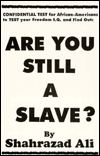 Are You Still a Slave?