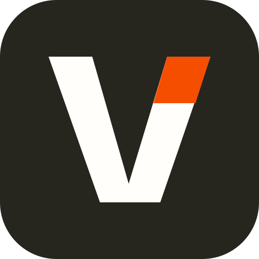 Vizify