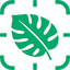 icon of HeySproutly