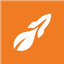 icon of EarlySEO