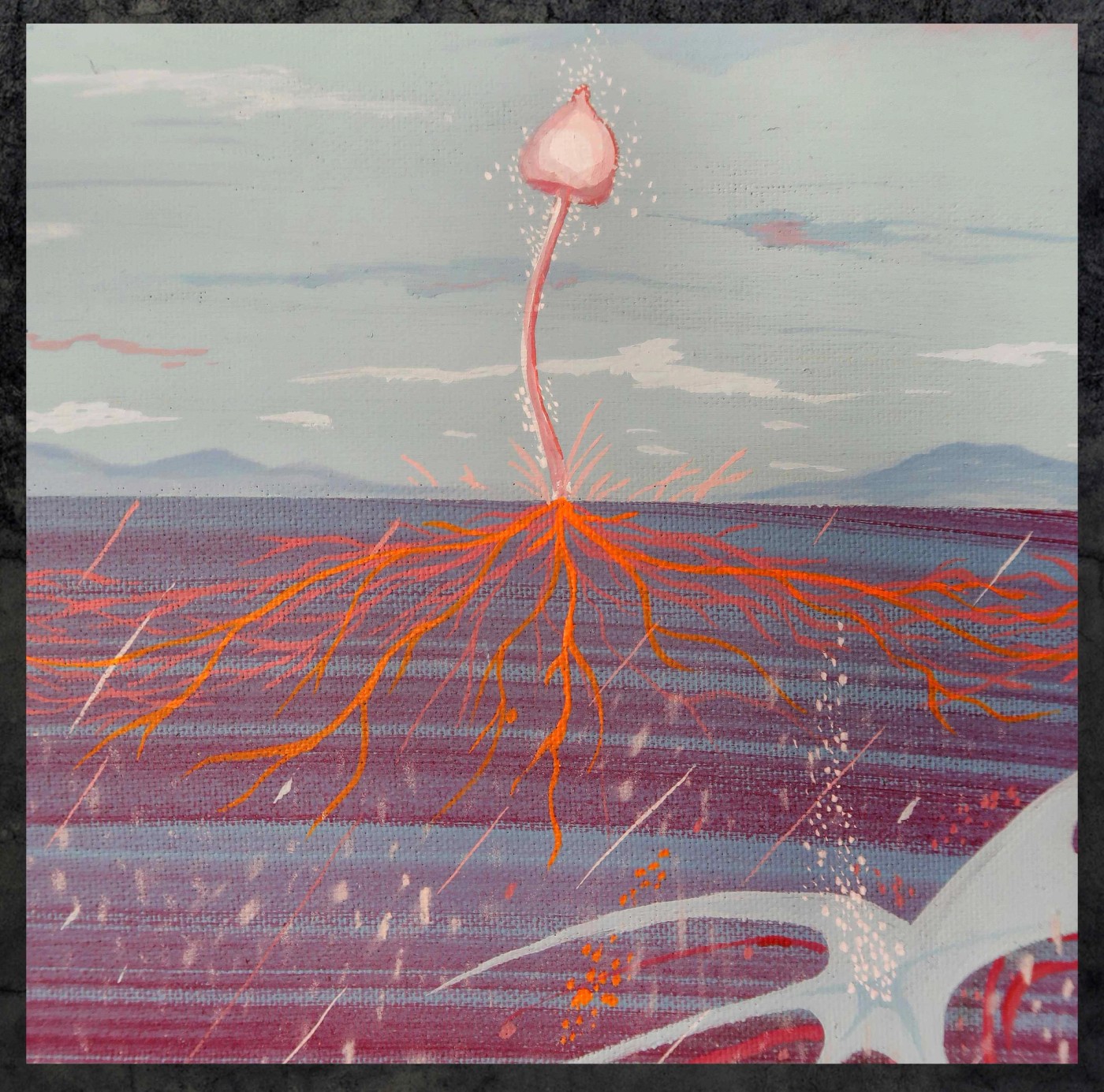 Mycelium , detail view 3