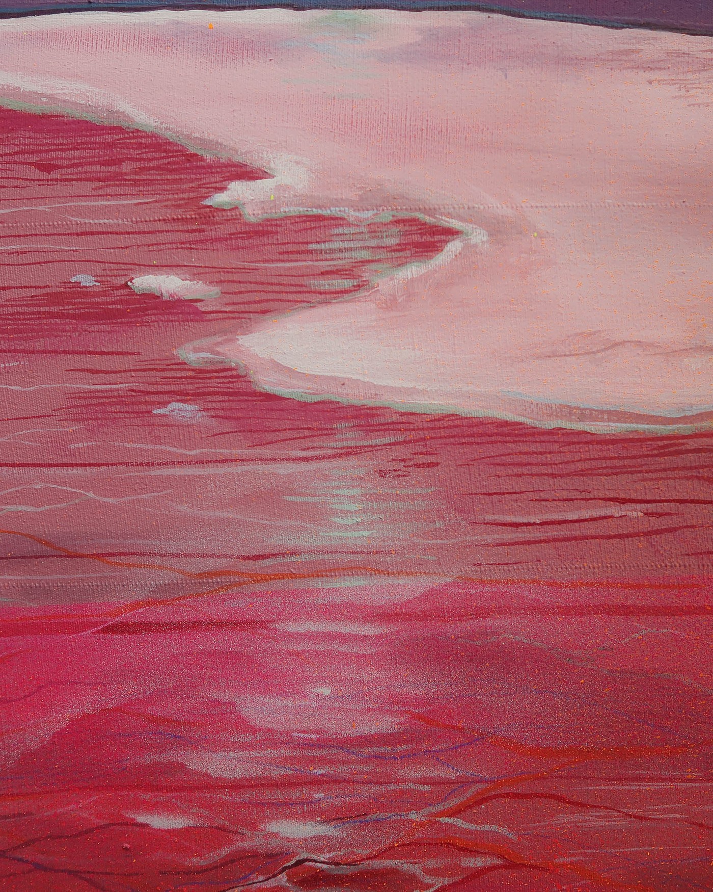 Sivash, detail view 3