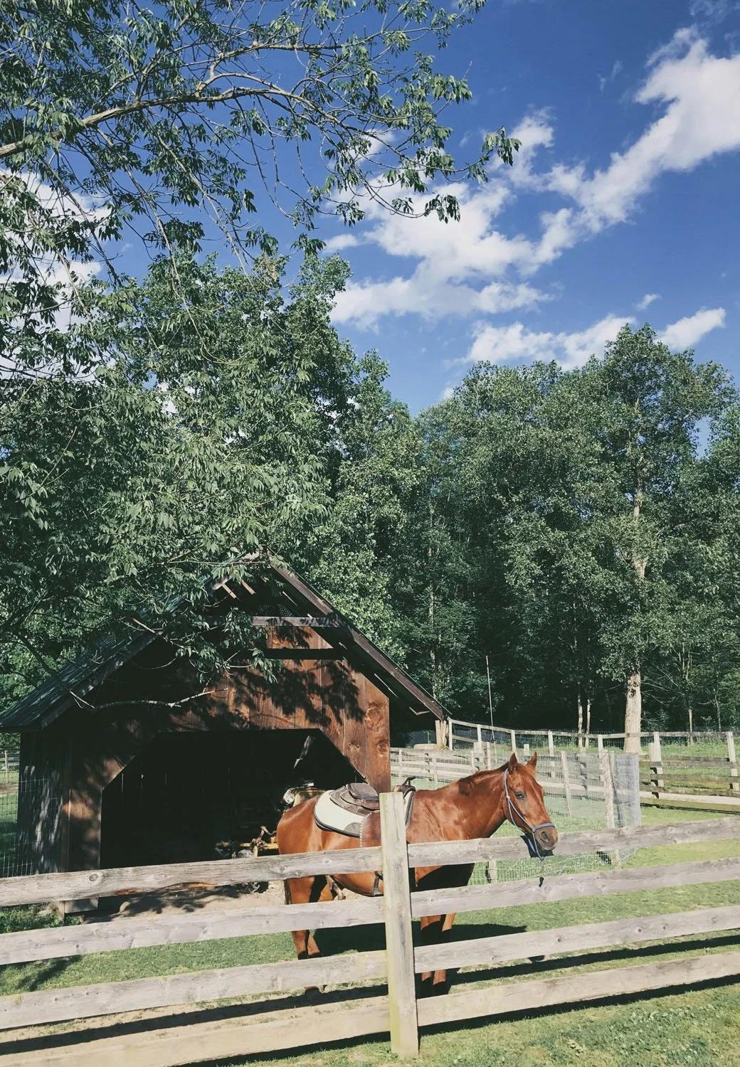 Refinance with cash out