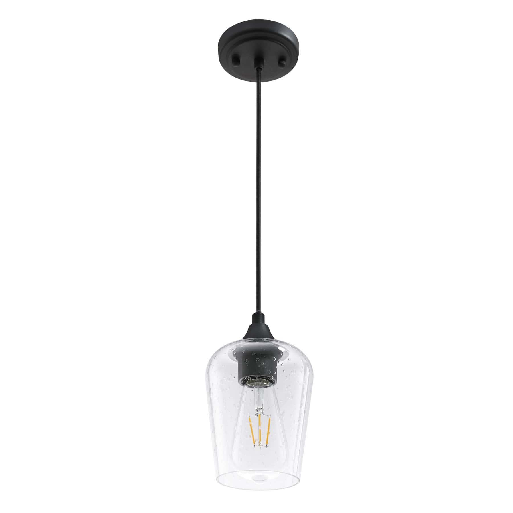 Industrial Clear Seeded Glass Pendant Light, Matte Black