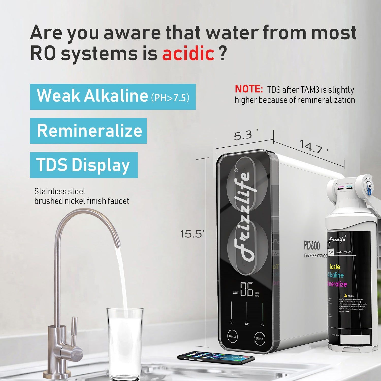 Frizzlife PD600-TAM3 RO System Review: Worth the Price?