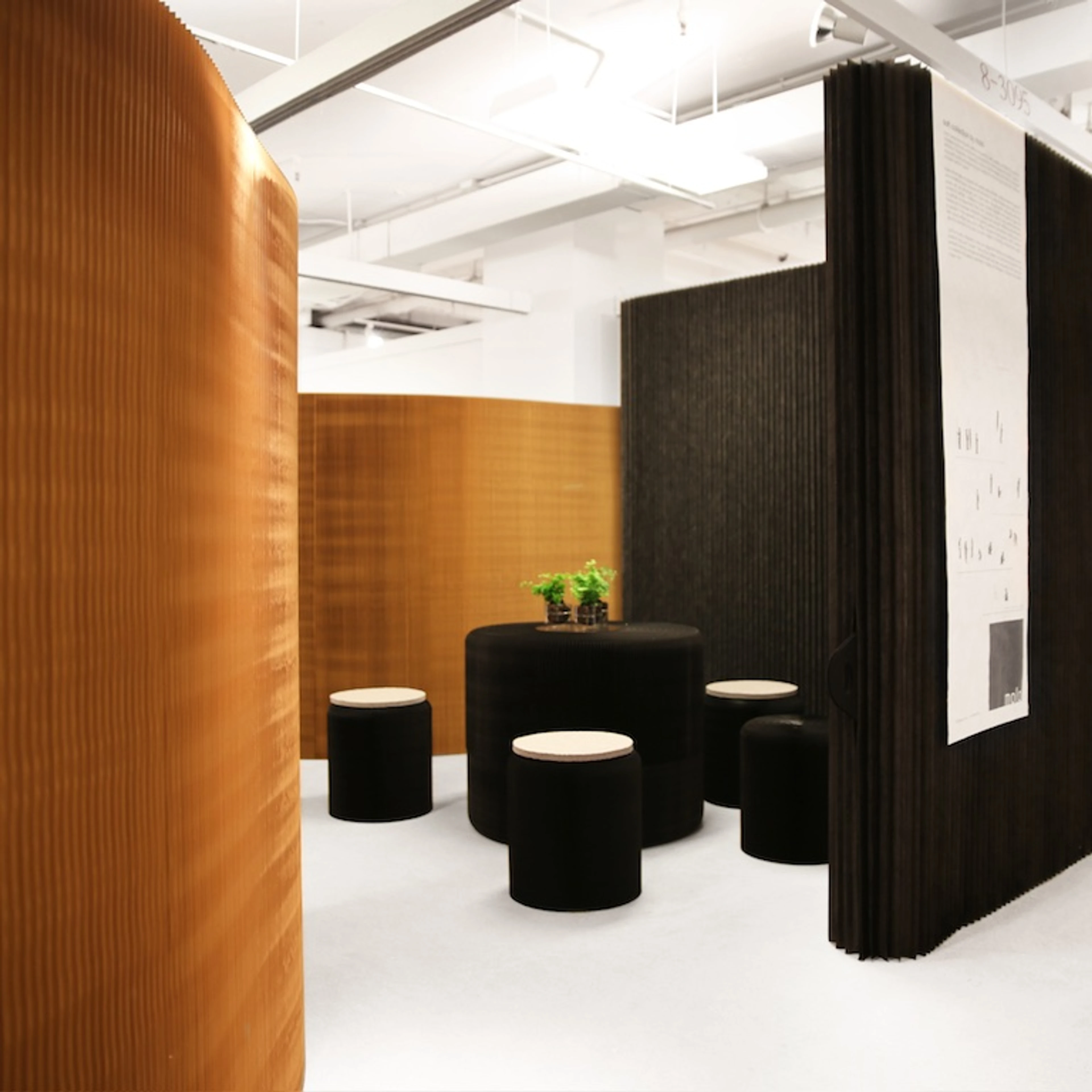 molo room dividers for zoom meetings mobile