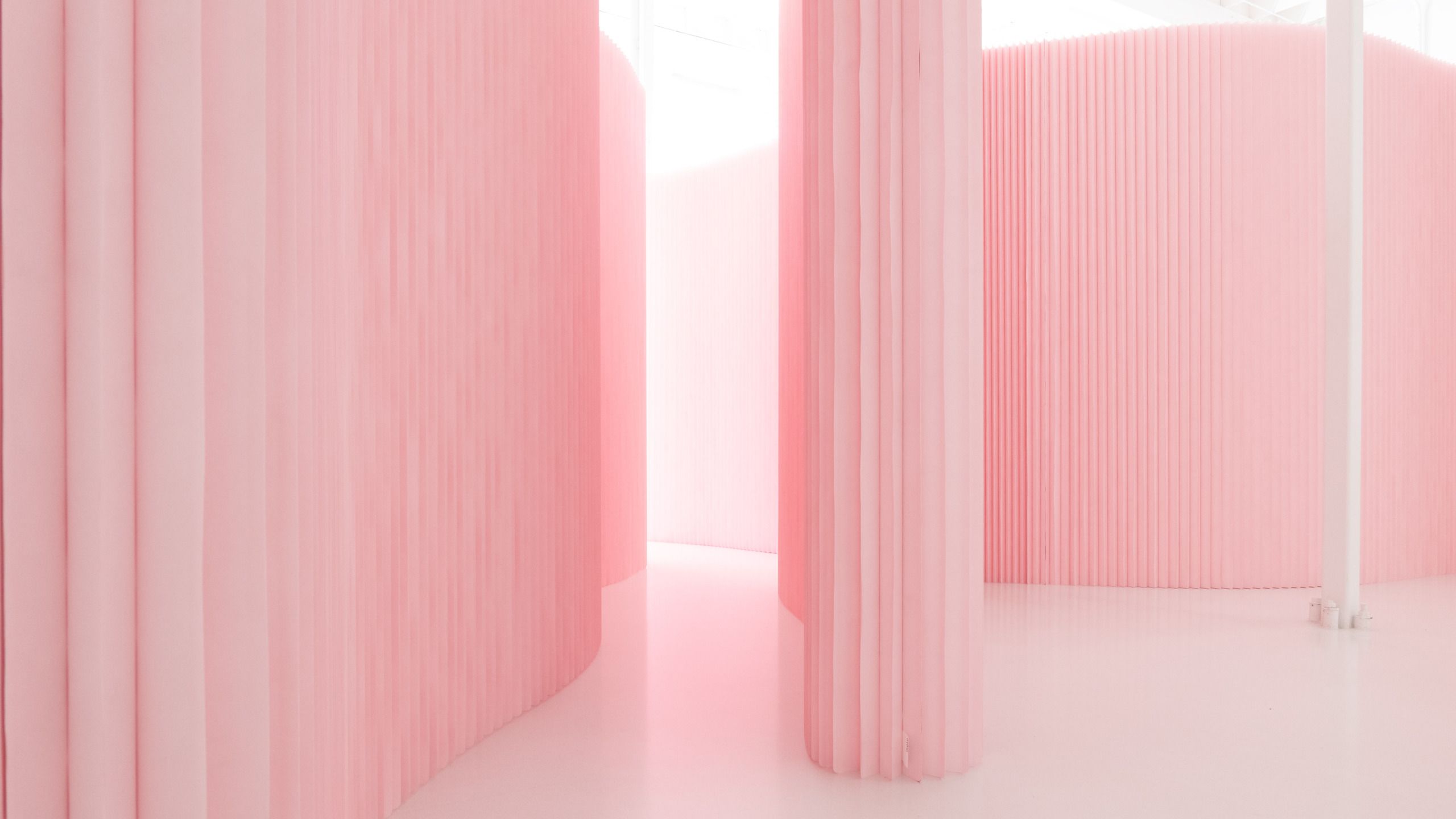 pink wall - petal pink - Pantone 12-1305 custom colour walls - molo