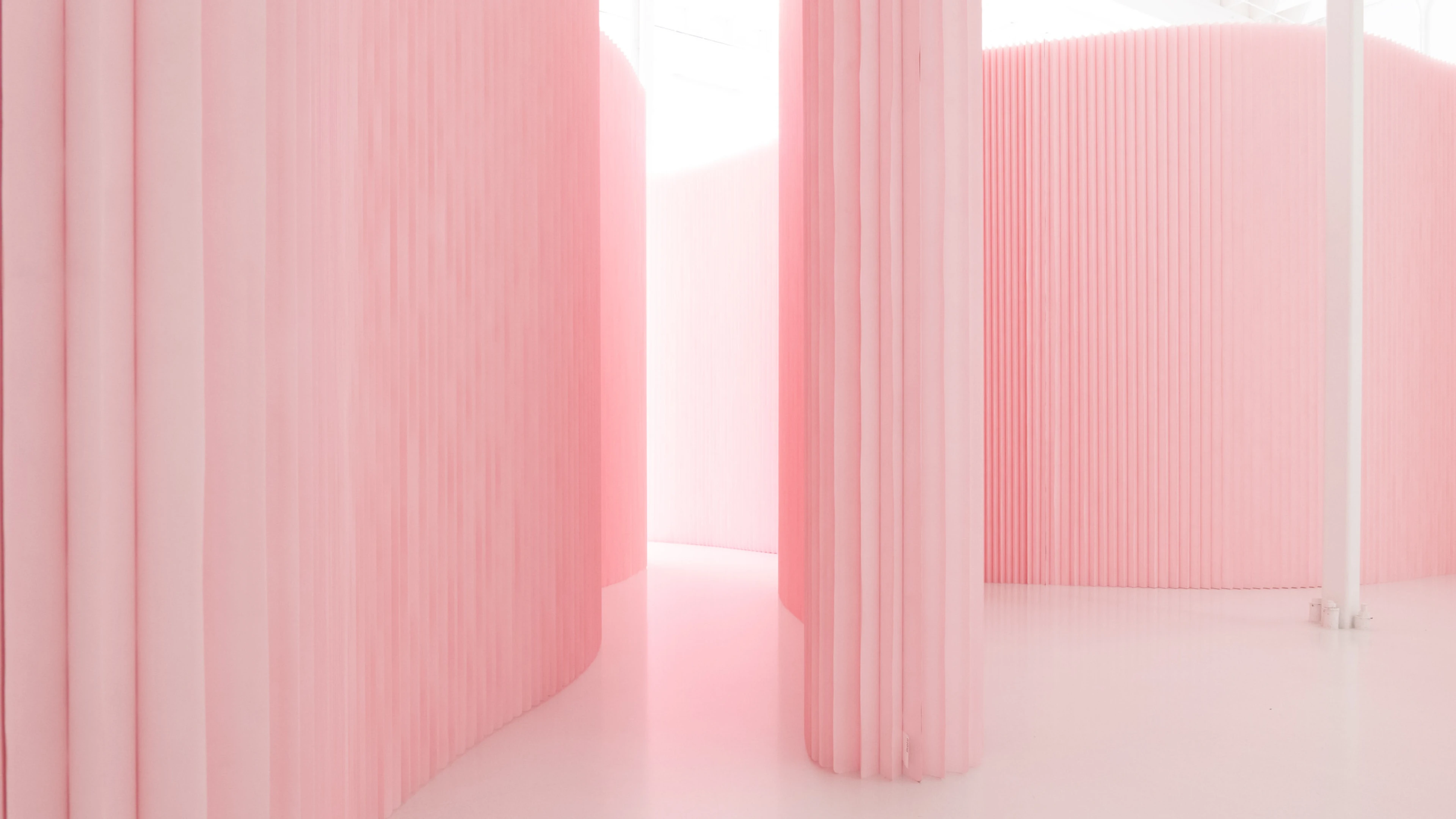 pink wall - petal pink - Pantone 12-1305 custom colour walls - molo