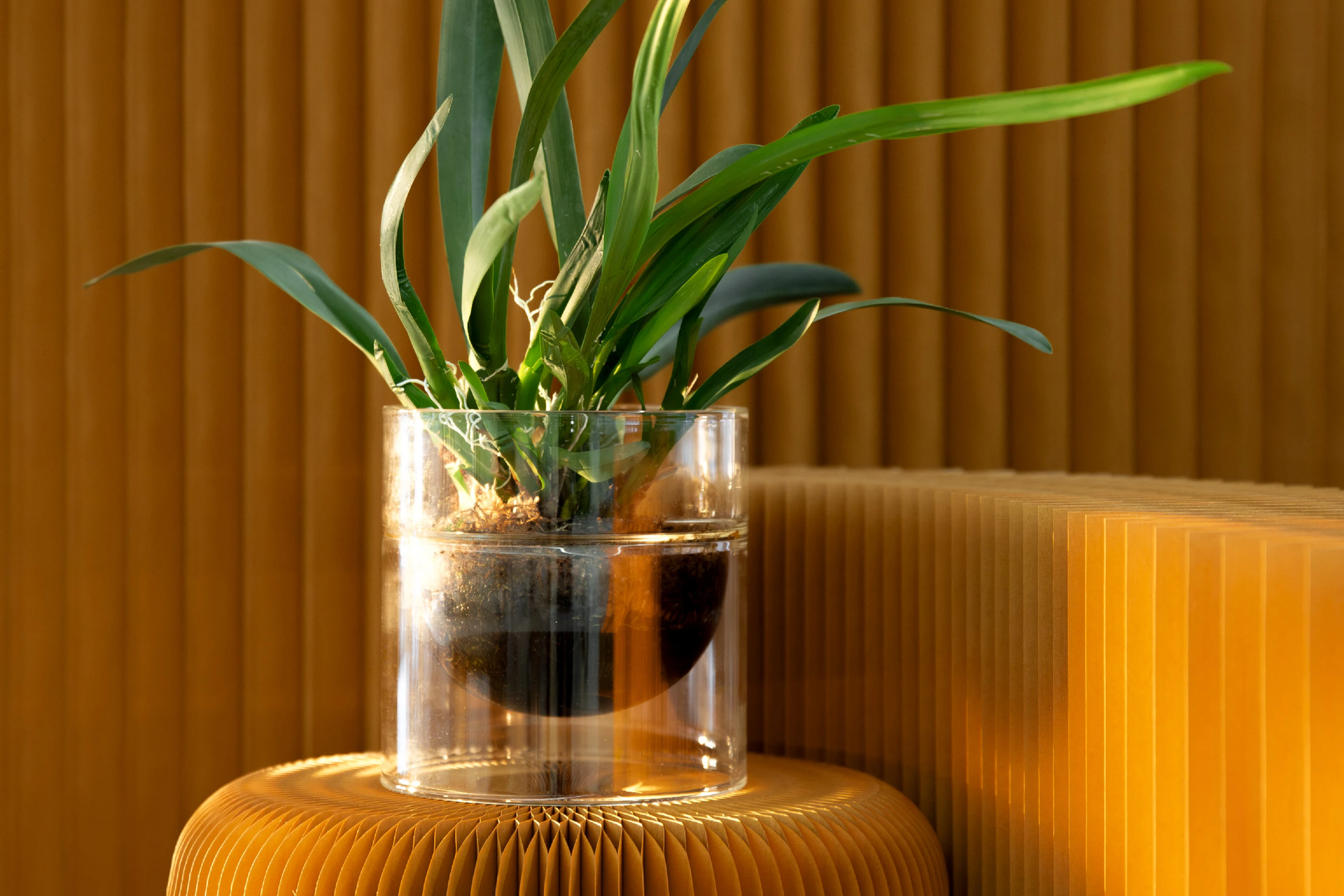 float large deep bowl