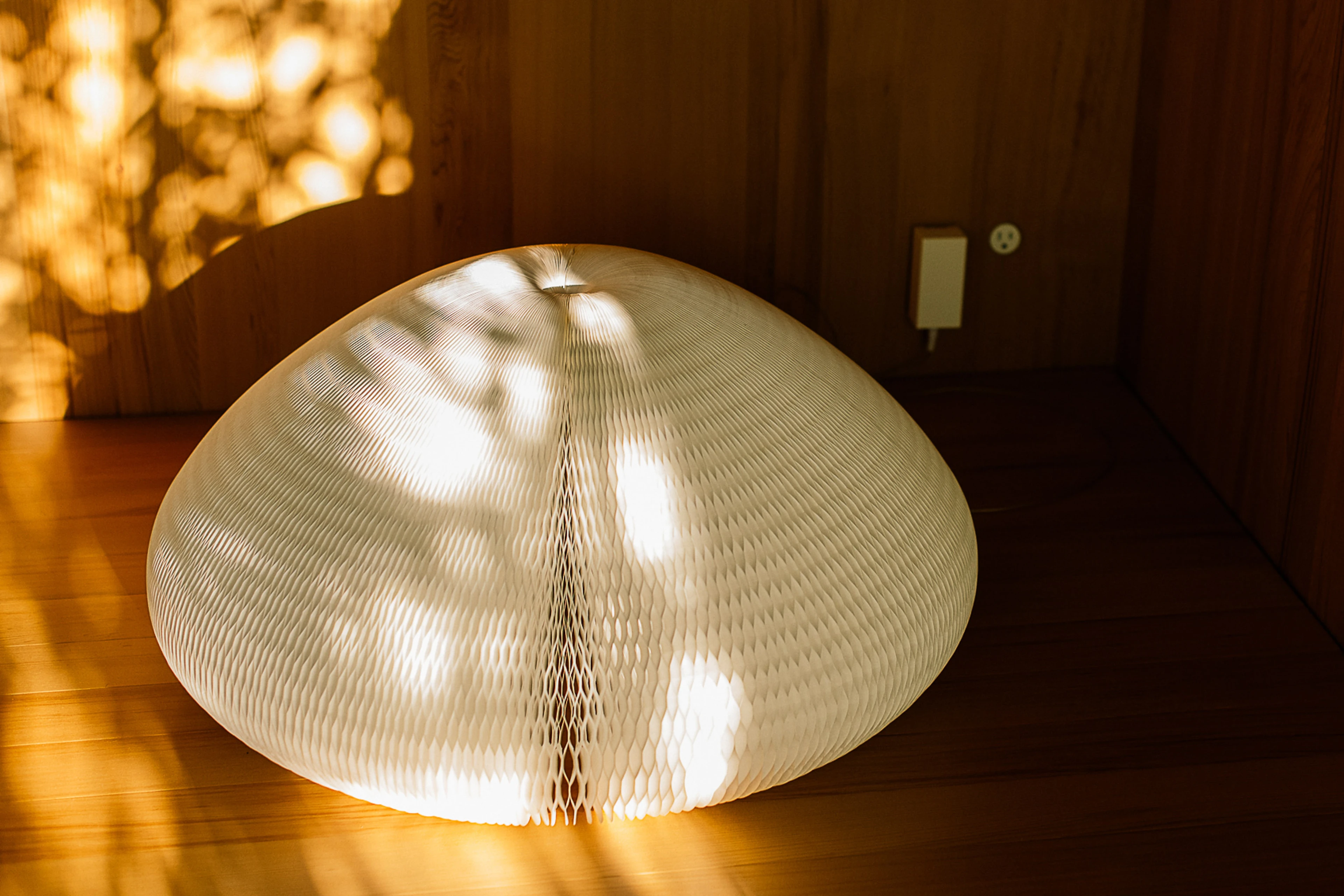 urchin softlight™