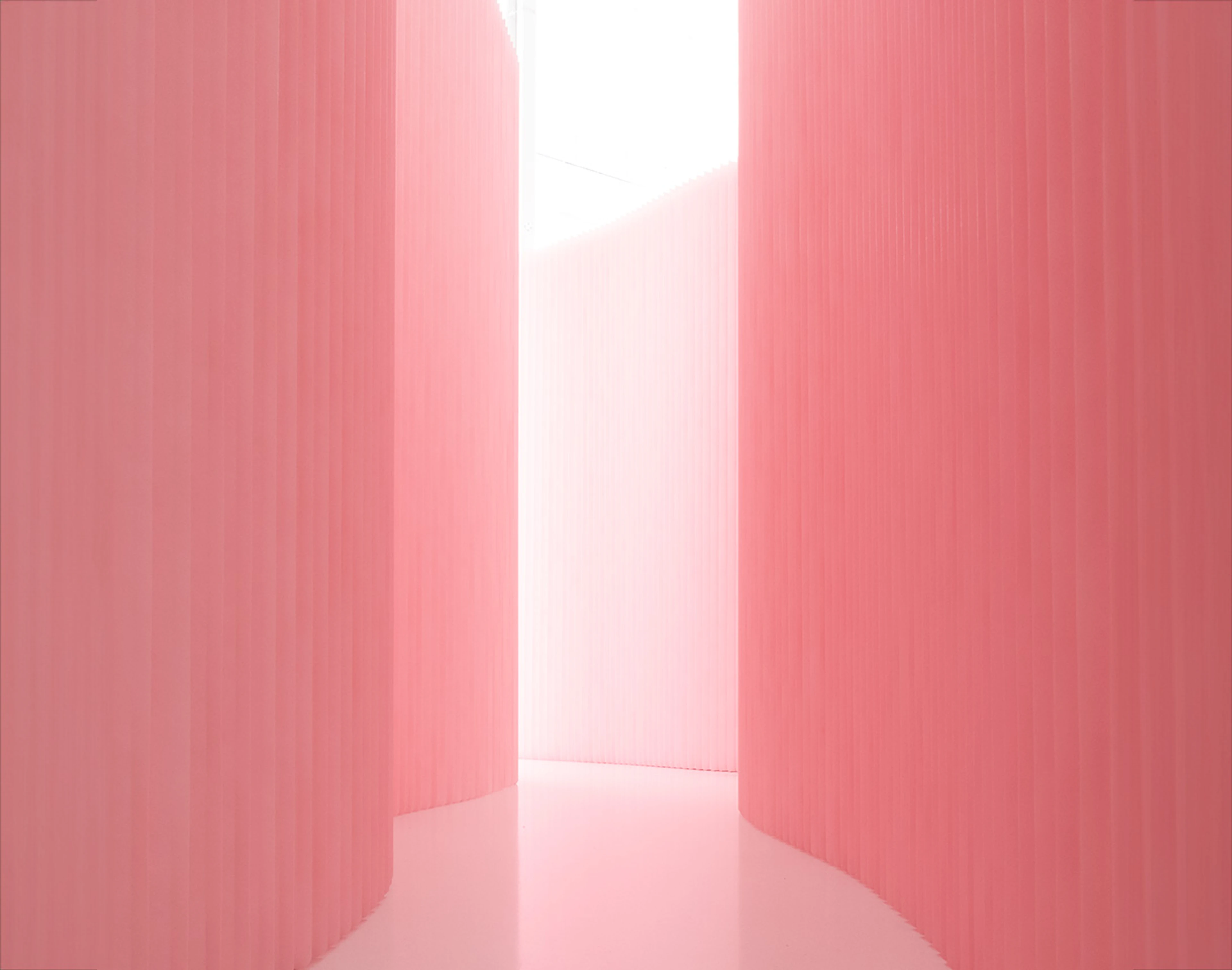 pink softwall, petal pink backdrop wall, Pantone 12-1305, custom colour walls, molo