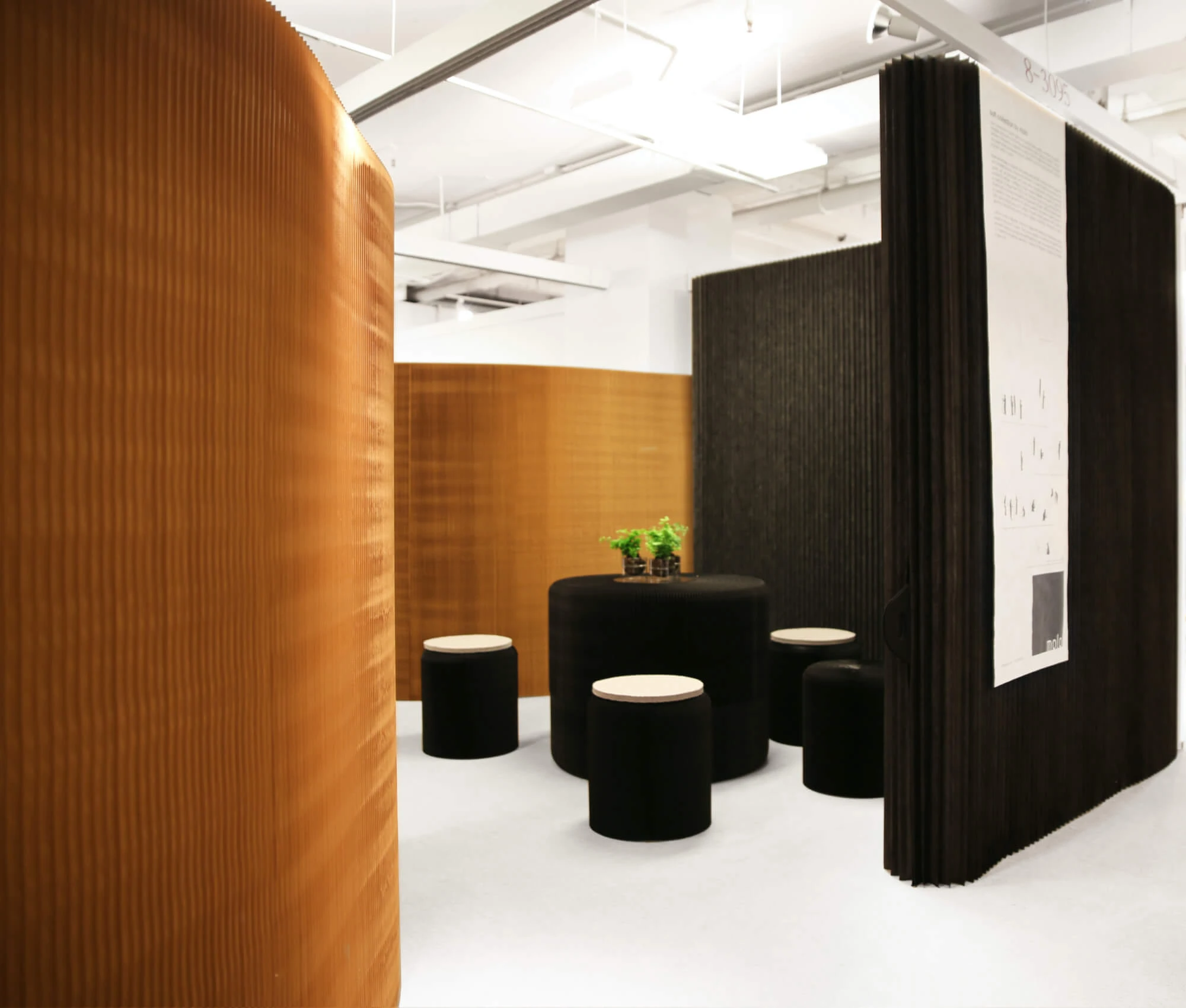 molo room dividers for zoom meetings