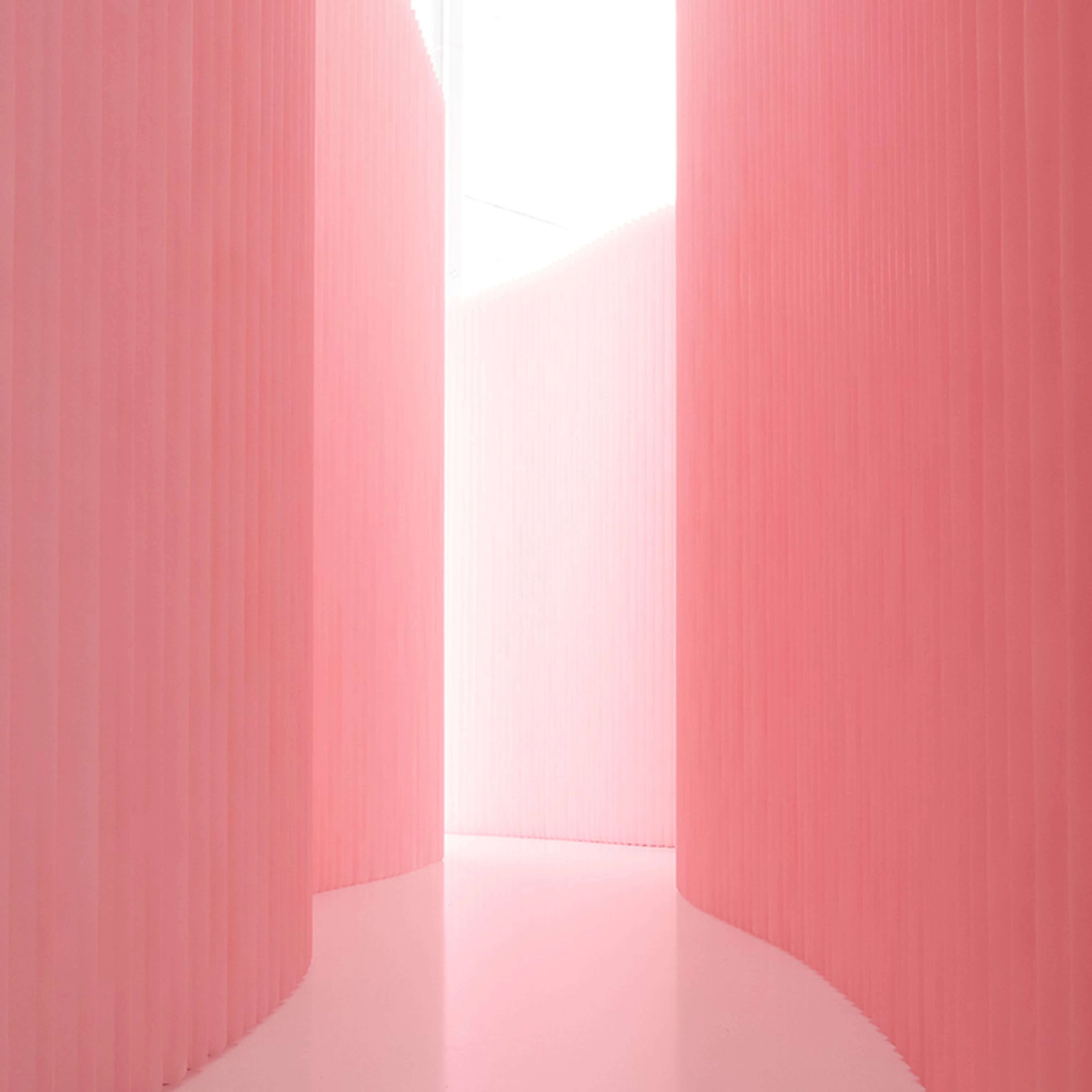 pink softwall, petal pink backdrop wall, Pantone 12-1305, custom colour walls, molo