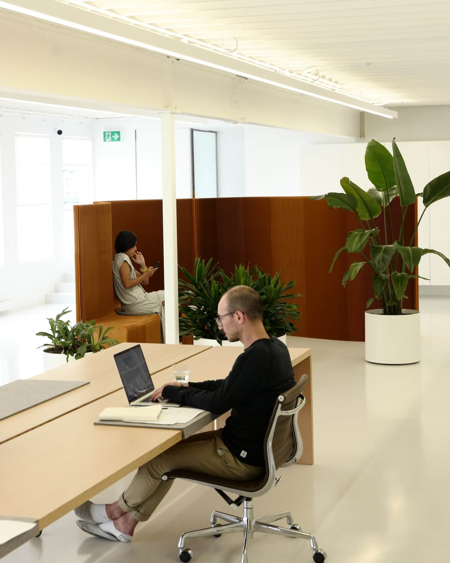 privacy screens and modular office furniture by molo