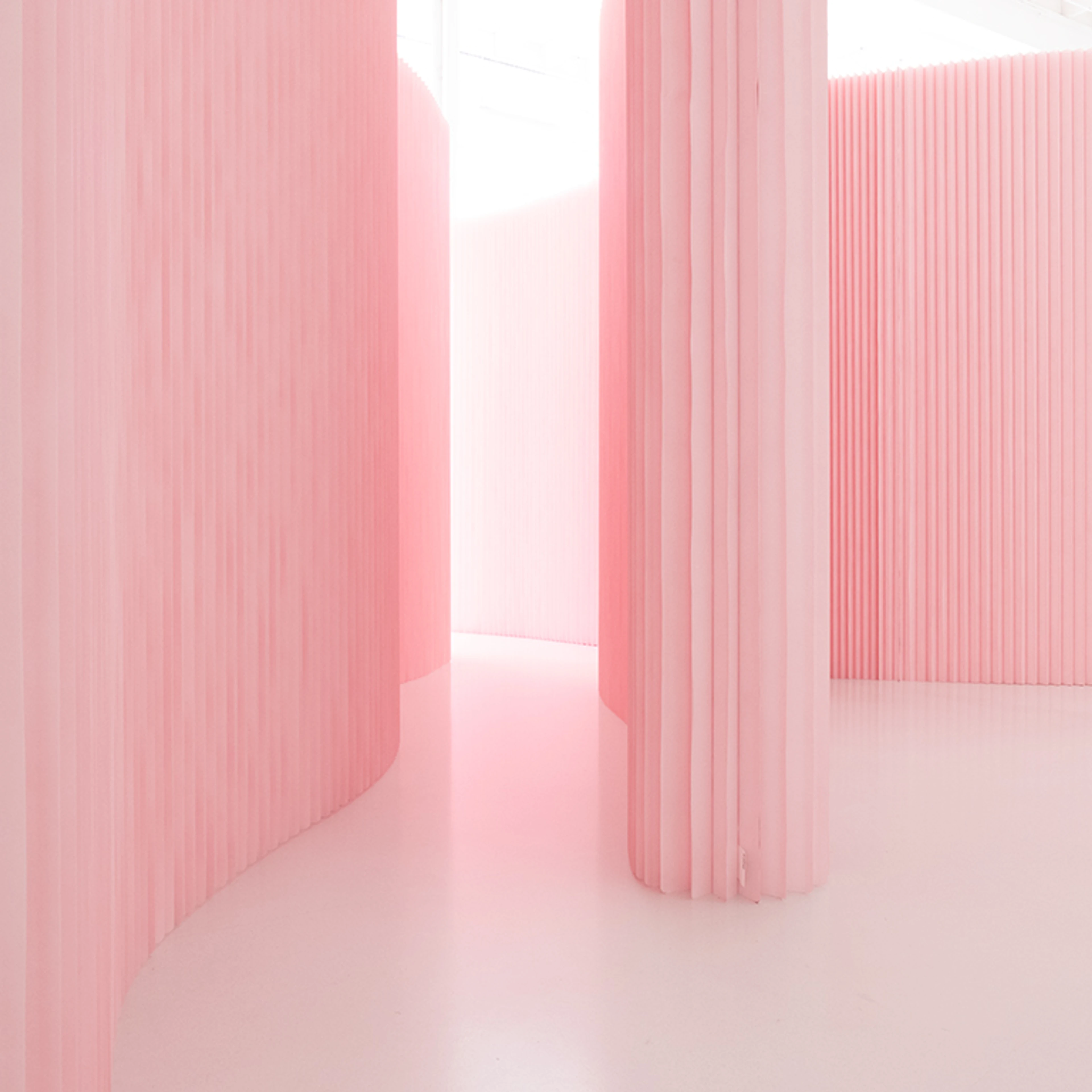 softwall, folding partition,pink walls, Pantone 12-1305 pink in architecture, custom colour walls, molo