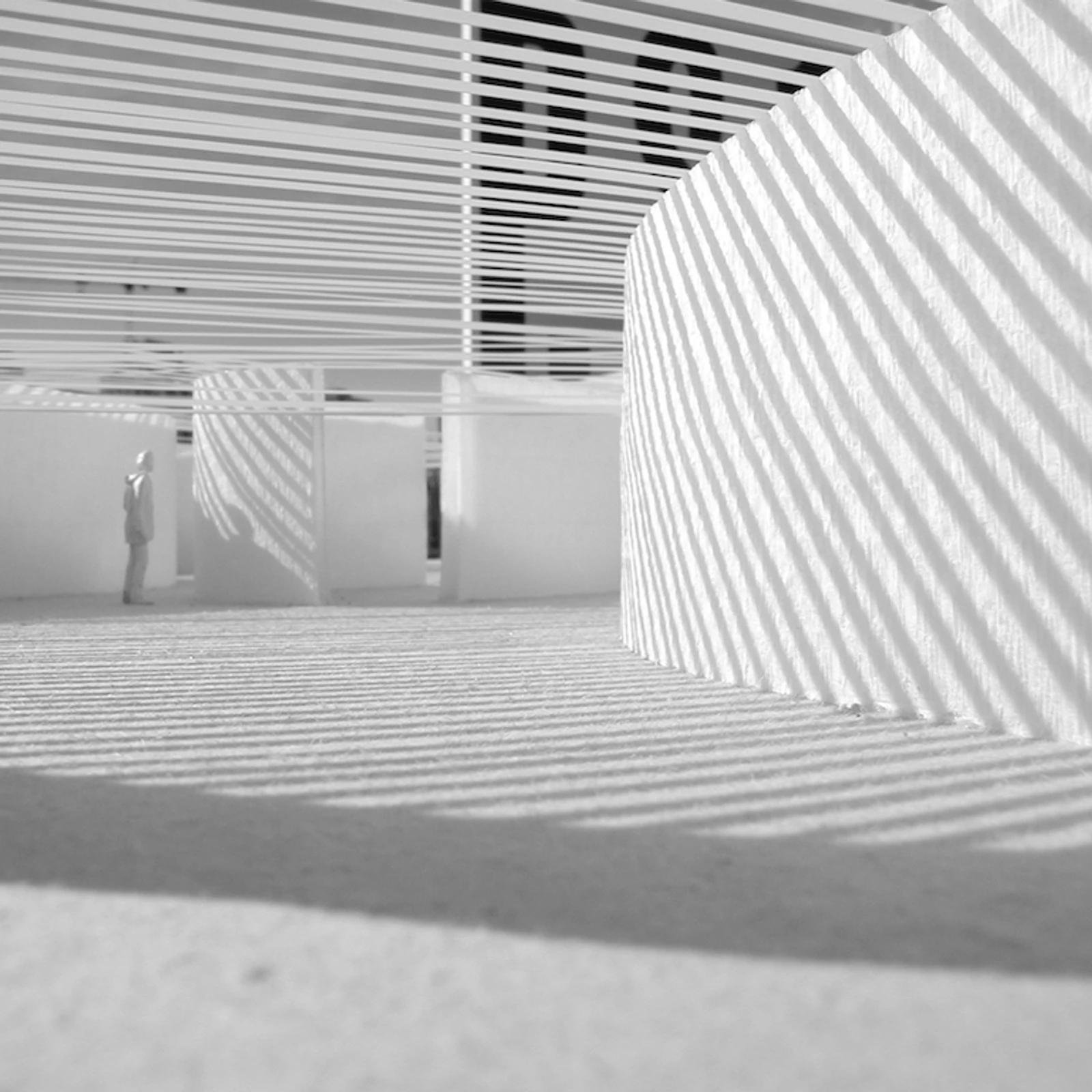molo at PS1 2004 - 2005