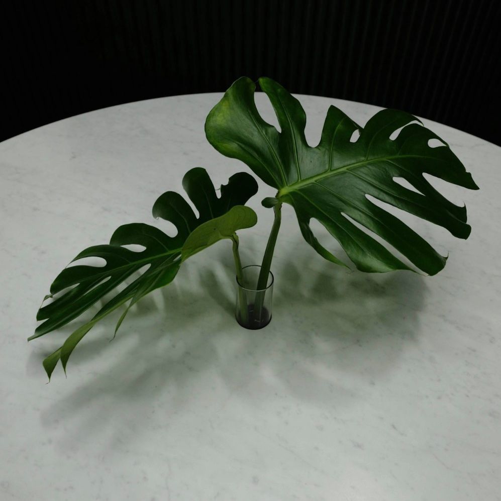 catilever table by molo - PaperStone table top